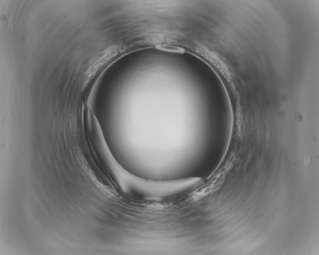 X0000088630105200705251442