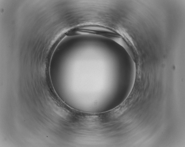 X0000088630108200705251442