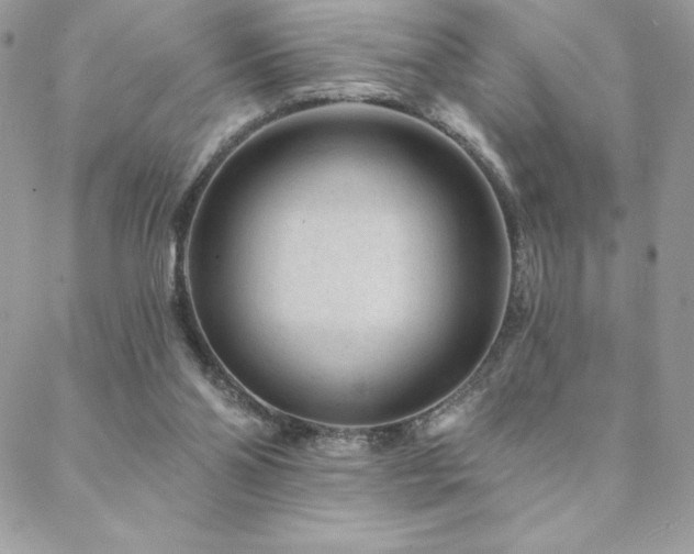 X0000088630110200705251442