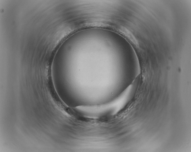 X0000088630111200705251442