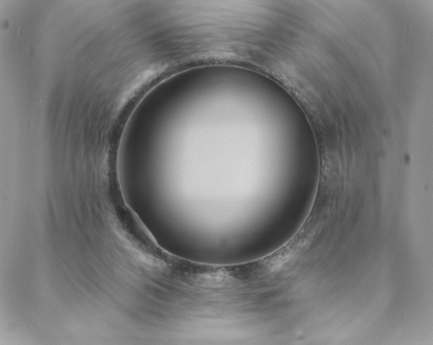 X0000088630112200705251442