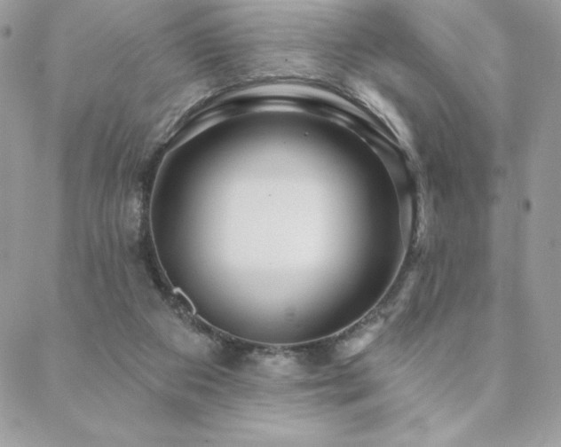 X0000088630113200705251442