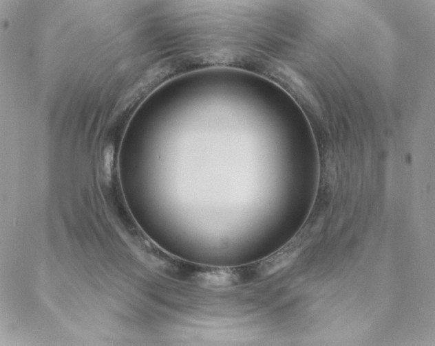 X0000088630118200705251442