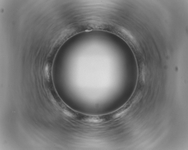 X0000088630121200705251442