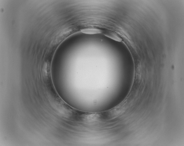 X0000088630122200705251442