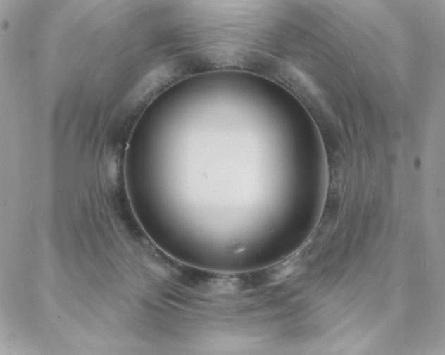 X0000088630124200705251442