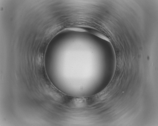 X0000088630126200705251442