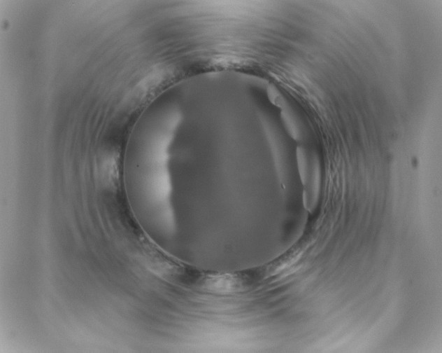 X0000088630127200705251442
