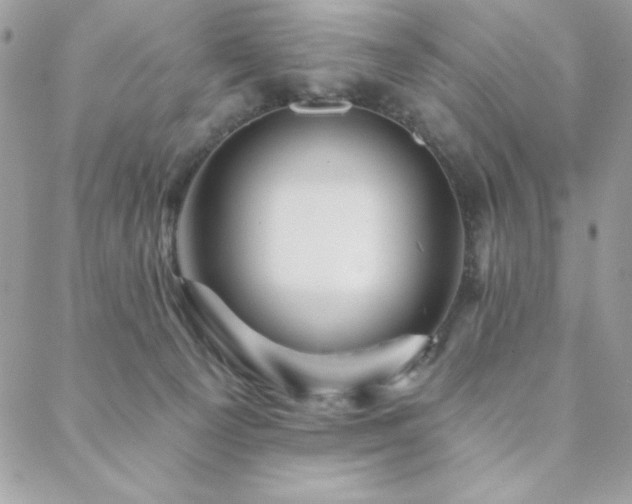X0000088630129200705251442