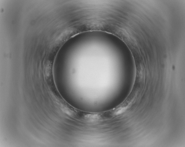 X0000088630133200705251442