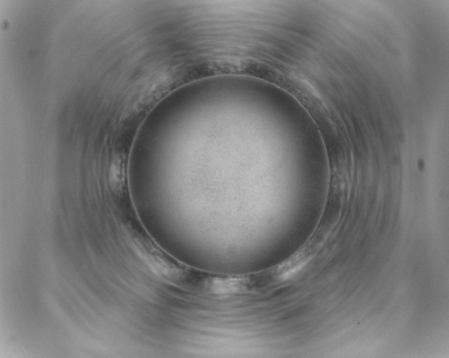 X0000088630134200705251442