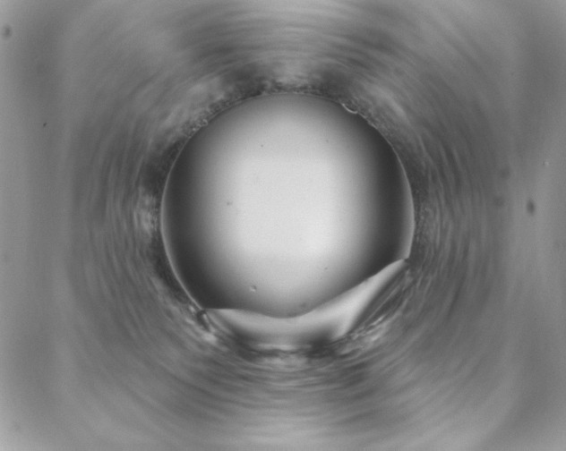 X0000088630135200705251442