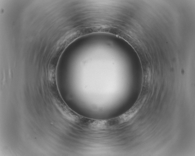 X0000088630138200705251442