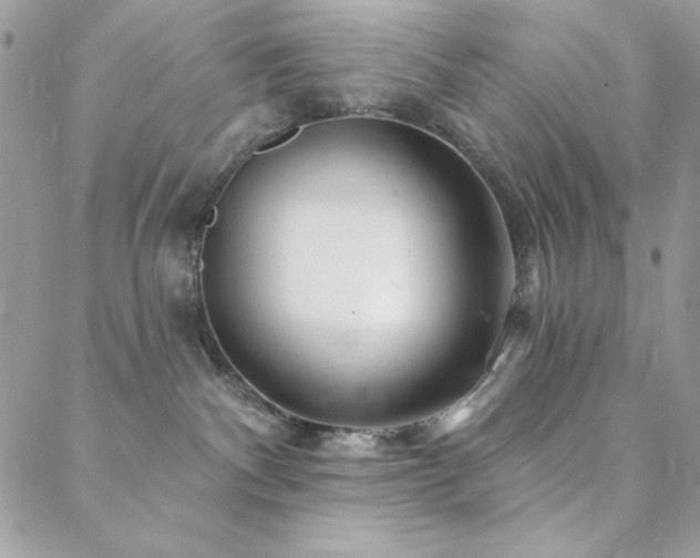 X0000088630140200705251442