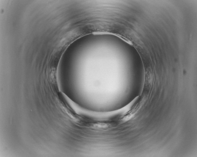 X0000088630141200705251442