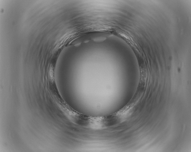 X0000088630143200705251442