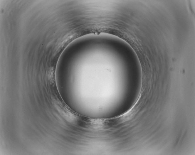 X0000088630144200705251442
