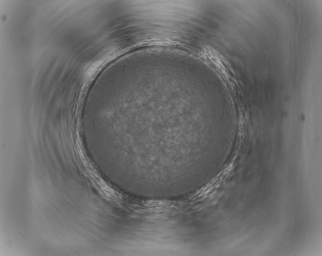 X0000088630145200705251441