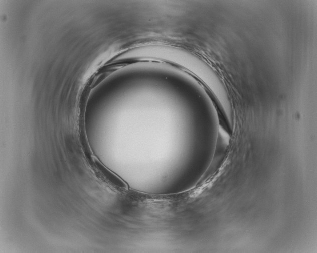 X0000088630150200705251441