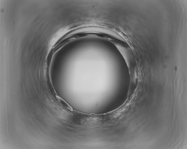 X0000088630152200705251441