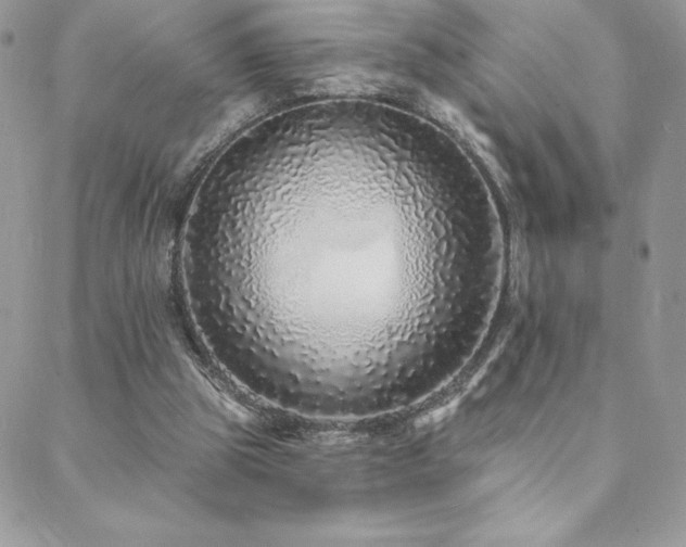 X0000088630153200705251441