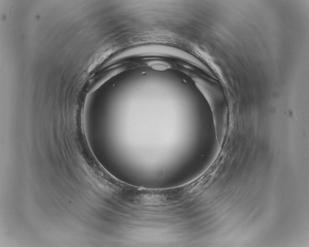 X0000088630154200705251441