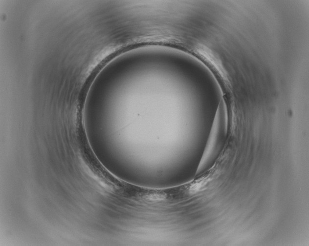 X0000088630156200705251441
