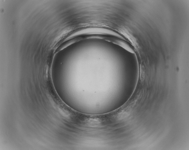X0000088630157200705251441