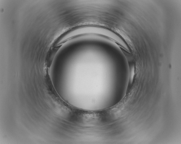 X0000088630160200705251441