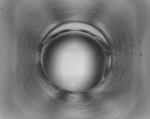 X0000088630164200705251441