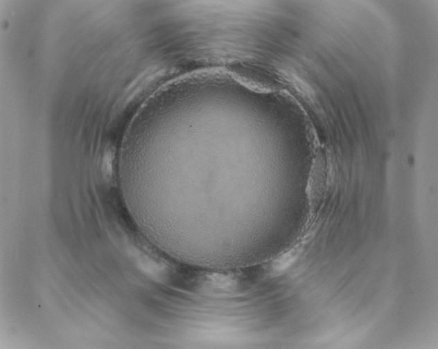 X0000088630166200705251441