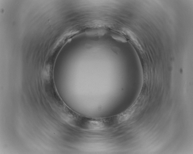 X0000088630167200705251441