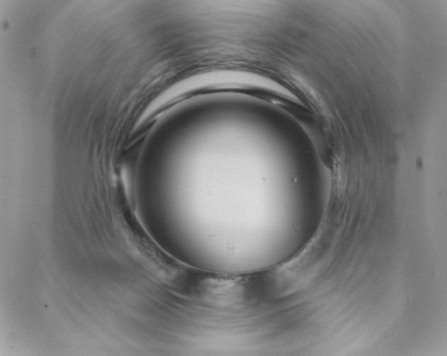 X0000088630170200705251441