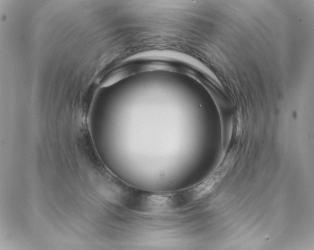 X0000088630176200705251441