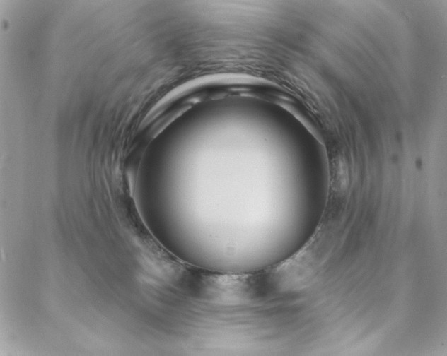 X0000088630184200705251442