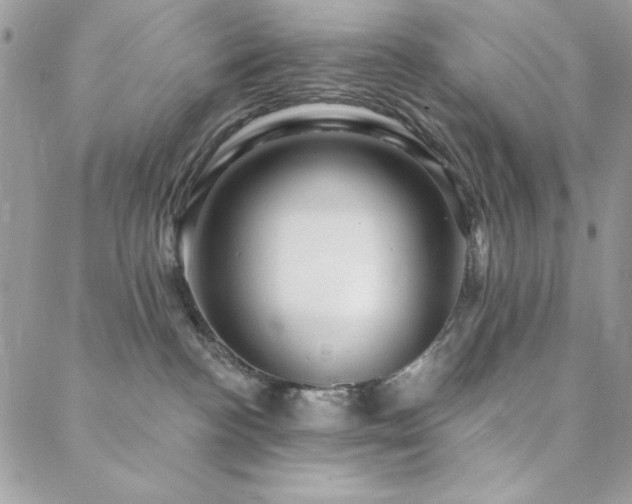 X0000088630188200705251442