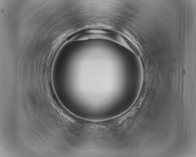 X0000088630193200705251441