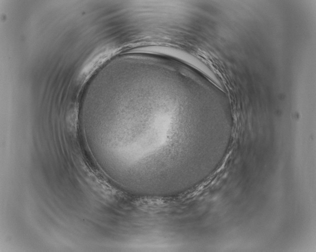 X0000088630194200705251441