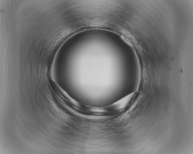X0000088630201200705251441