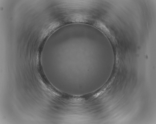 X0000088630202200705251441