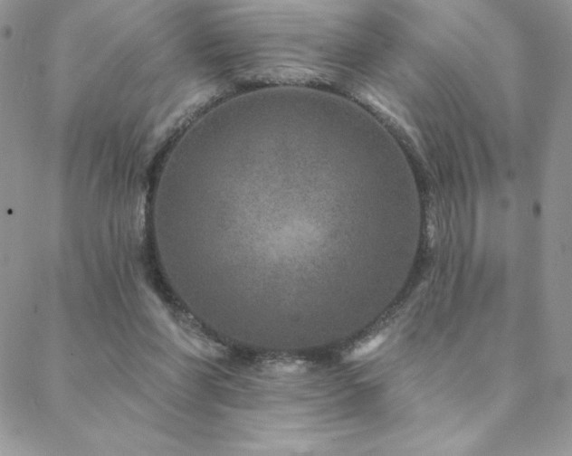 X0000088630206200705251441
