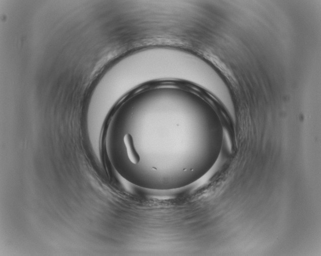 X0000088630207200705251441
