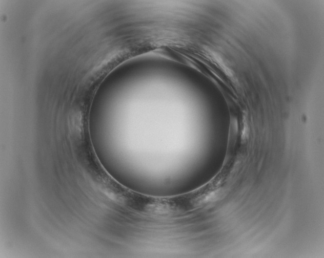 X0000088630211200705251441