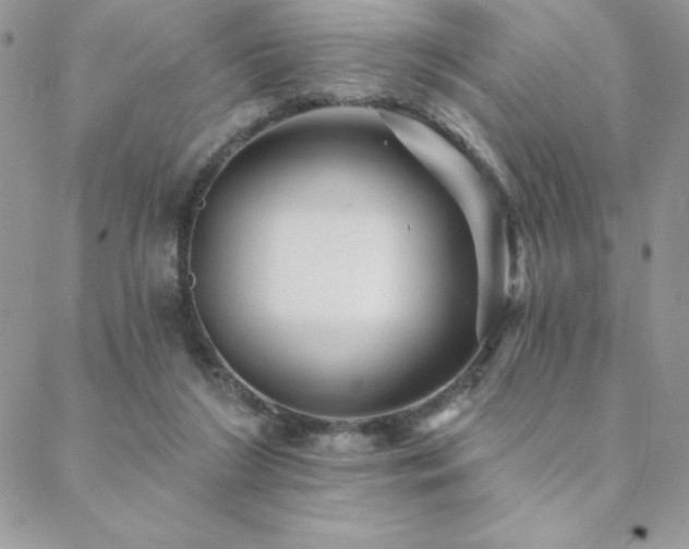 X0000088630212200705251441