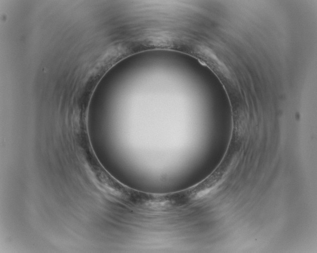 X0000088630213200705251441