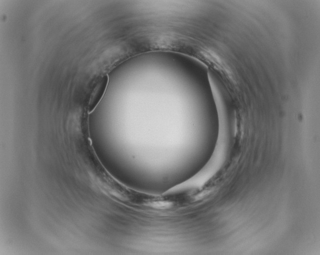 X0000088630217200705251441