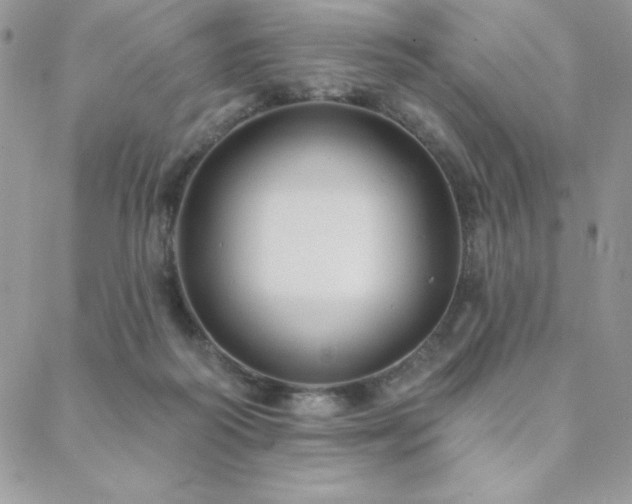 X0000088630218200705251441