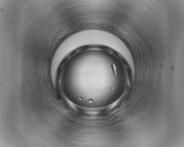 X0000088630219200705251441