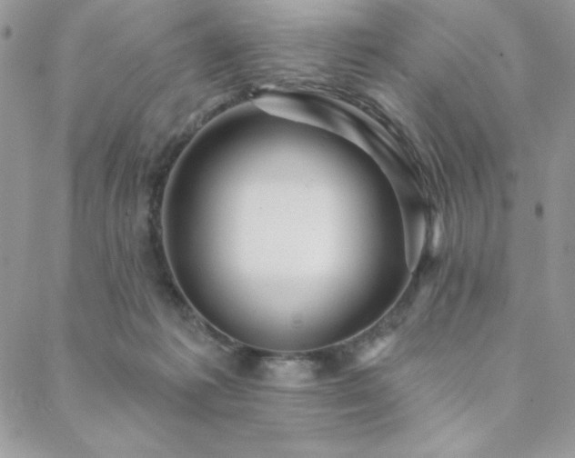 X0000088630221200705251440