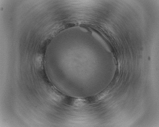 X0000088630222200705251440